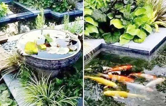 Thiet-ke-tieu-canh-san-vuon