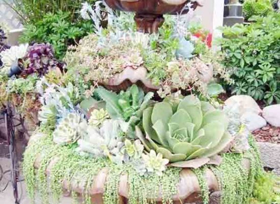 Tieu-canh-san-vuon-dep