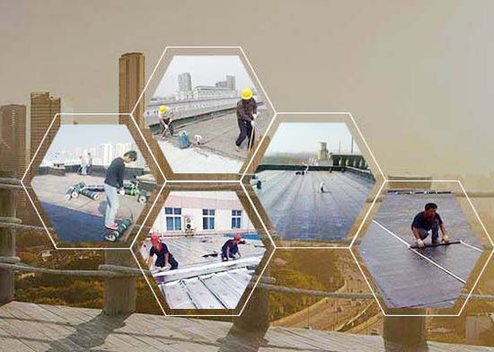 Bao-gia-dich-vu-chong-tham