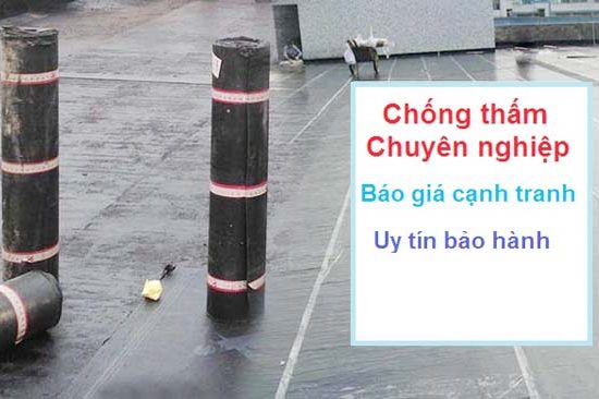 Chong-tham-gia-re-TPHCM