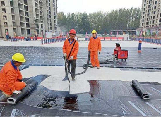 Cong-ty-chong-tham-chuyen-nghiep-tphcm