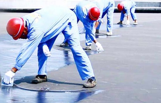 Cong-ty-chong-tham-dot