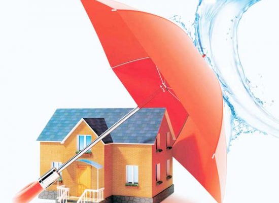 Dich-vu-chong-tham-nha-gia-re