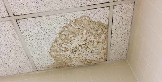 Kiem-tra-chong-tham-dot