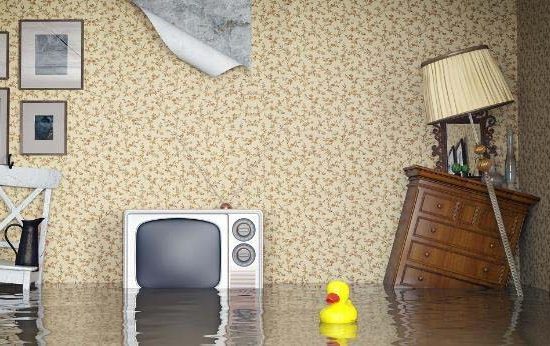 6-dau-hieu-cho-biet-ngoi-nha-can-phai-kiem-tra-chong-tham