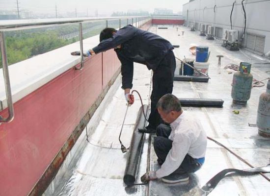 Dich-vu-thi-cong-chong-tham-tphcm