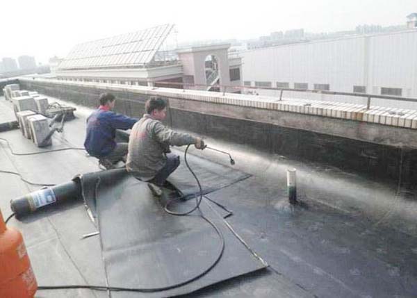 Chong-tham-tron-goi-gia-re