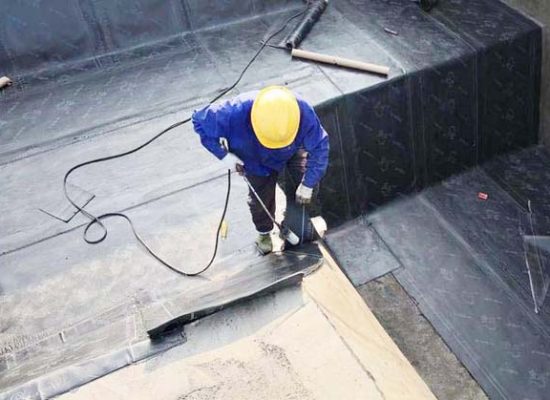 Dan-mang-chong-tham-sika