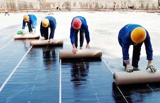 Mang-chong-tham-tu-dinh