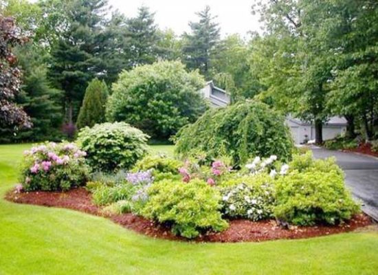 Thi-cong-san-vuon-TPHCM