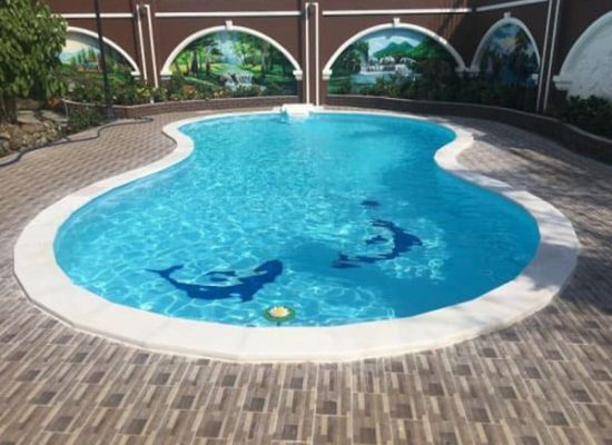 Cai-tao-ho-boi-tai-nha