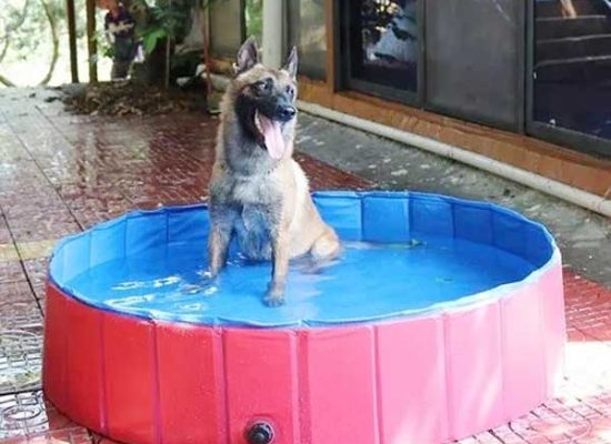 Be-boi-nhua-cho-tre-em